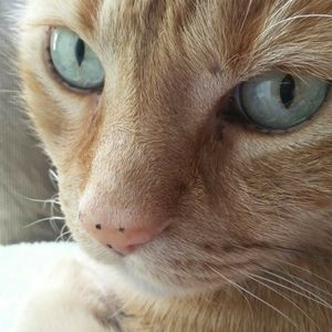 Meet your Posher, D.